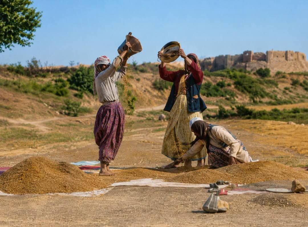 flvkt's tweet photo. Yurt dışındaki üniversitelerden müzelere kadar araştırılıp gün yüzüne çıkarılan binlerce fotoğraflık muazzam bir Gaziantep arşivi. Kaynak: Aintab-Gaziantep Yöresel Yemekleri https://t.co/SqGk0XEKFL