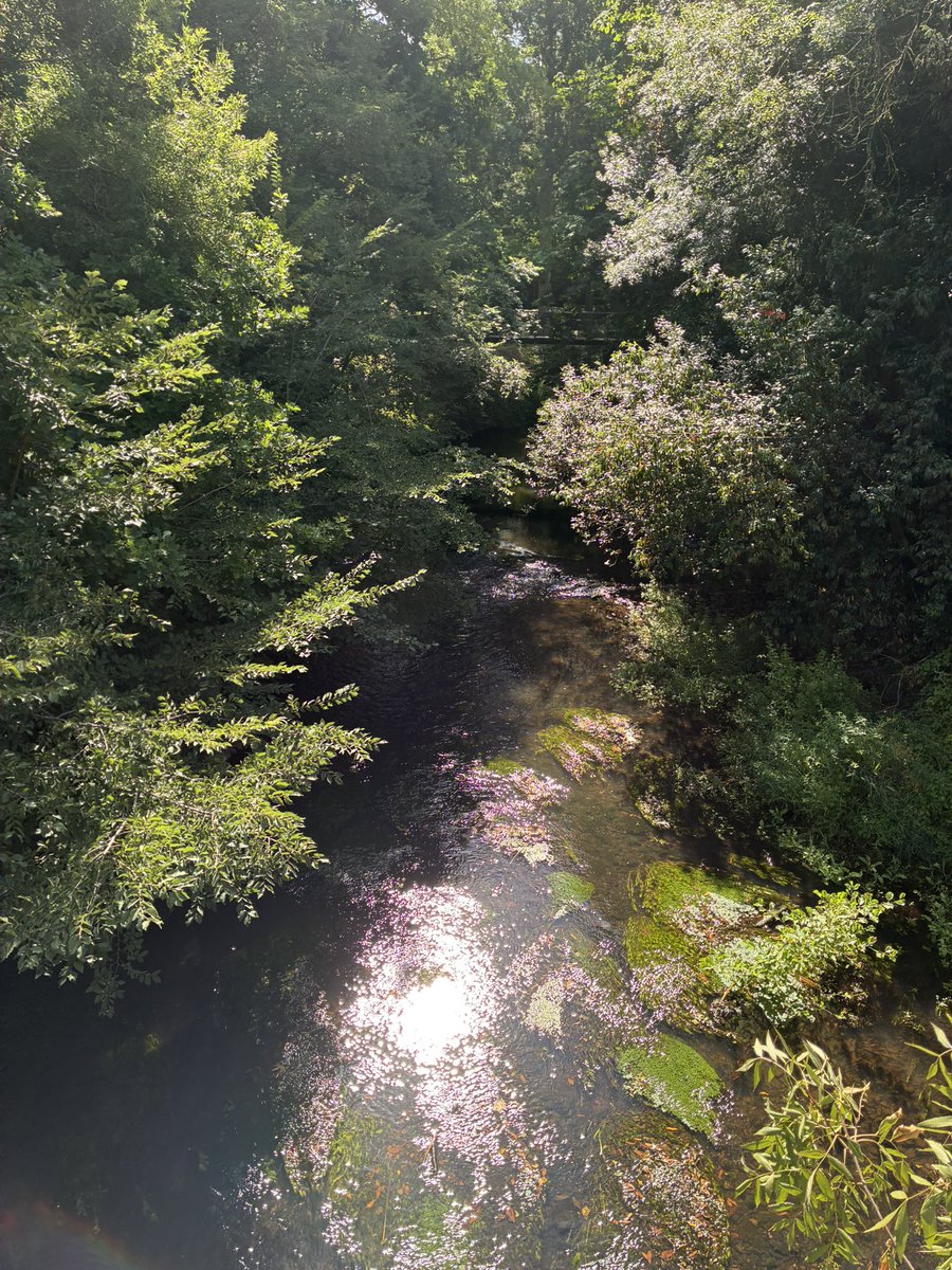 Herve_Pillaud's tweet photo. Cette rivière coule encore en plein été. 
Ce n’est pas un hasard. 
Elle est réalimentée grâce à l’eau stockée en hiver par les agriculteurs pour irriguer leurs cultures. 
Sans eux, ce cours d’eau serait à sec. 
Gérer l’eau, c’est aussi préserver le vivant💧🌿 https://t.co/jm29TPLDXN