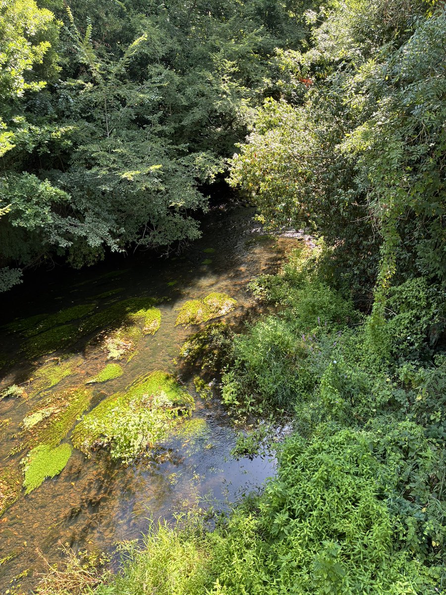 Herve_Pillaud's tweet photo. Cette rivière coule encore en plein été. 
Ce n’est pas un hasard. 
Elle est réalimentée grâce à l’eau stockée en hiver par les agriculteurs pour irriguer leurs cultures. 
Sans eux, ce cours d’eau serait à sec. 
Gérer l’eau, c’est aussi préserver le vivant💧🌿 https://t.co/jm29TPLDXN