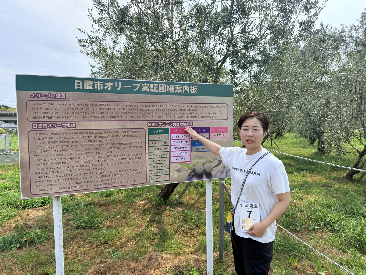 dennotai's tweet photo. 本日は鹿児島県日置市の地域活性化策の視察。やけにエネルギッシュな永山・日置市長の激アツプレゼントとQAセッションからの"ご当地プロスポーツチーム"であり10月からの🏐SVリーグに昇格を果たすフラーゴット鹿児島の小園代表、川畑GMとの意見交換。からの冷房のない体育館での選手たちの練習を見学しました💦

午後は日置市湯之元町の地域活性化に取り組む地元企業のアトトリである小平さんから理念のご説明と街歩き案内を頂きました。温泉蒸気のサウナも最高♨️

フラーゴット、小平共に事業運営上、既にAIがなくてはならない存在になっているのは驚きでした。

そして、パナソニック工場撤退後の地域活性化事業として取り組んでいるオリーブの栽培現場も視察。市の職員自らが起業した鹿児島オリーブの水流代表の苦労話に耳を傾けました。

AI活用においては、複雑性と不確実性は別物であり、前者はAIの得意分野、後者は現在のところは不得意なのかなと思いを馳せてみたりもしました。

明日は鹿児島ご当地バスケチームの視察をします！