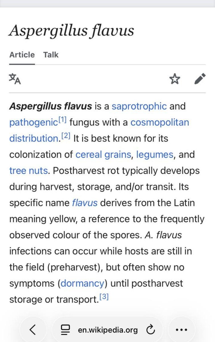 robertlasagna1's tweet photo. explaining Scandinavian fascination with liquorice (it is a fungicide that cures autism) https://t.co/bIDmZLTB3M