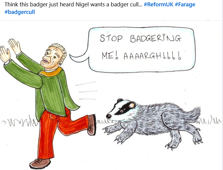 AmeleaTeckel's tweet photo. The worst way Wales could possibly Reform its cattle b🐄TB policy is by slaughtering these ancient British #animals ...
especially when Labour in England🏴has now honoured its pledge to #stopthecull!
🇬🇧https://t.co/8AulN2LqLh🖊️
#wildlife matters too!
#badgermonday🦡#stopthecull🏴 https://t.co/fDvInu3c9e
