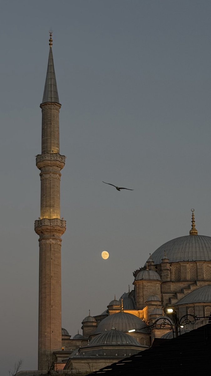 kubragrdll's tweet photo. Fatih 🫶🏻 https://t.co/xHwQRFHiCF