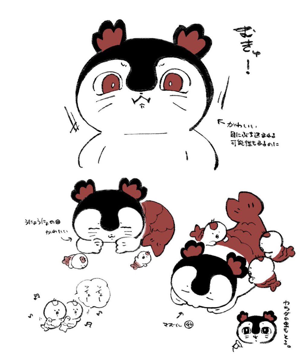 sa_14811's tweet photo. https://t.co/qrIB9omkXF