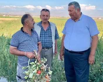 YYurdunsesi's tweet photo. CHP’li Gürer: ‘Çiftçinin dalındaki yeşil domatesine icra geldi’
https://t.co/Zdnk23mzCs
@fethigurer @herkesicinCHP #domates #icra https://t.co/aVxBOyyHIy