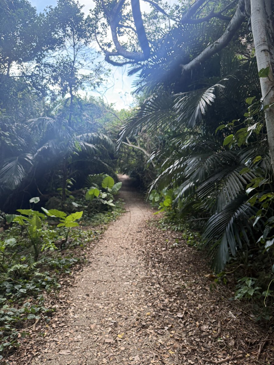 cloud__strifee's tweet photo. L’entrée vs la sortie je suis seul au monde https://t.co/NyeP902qNT