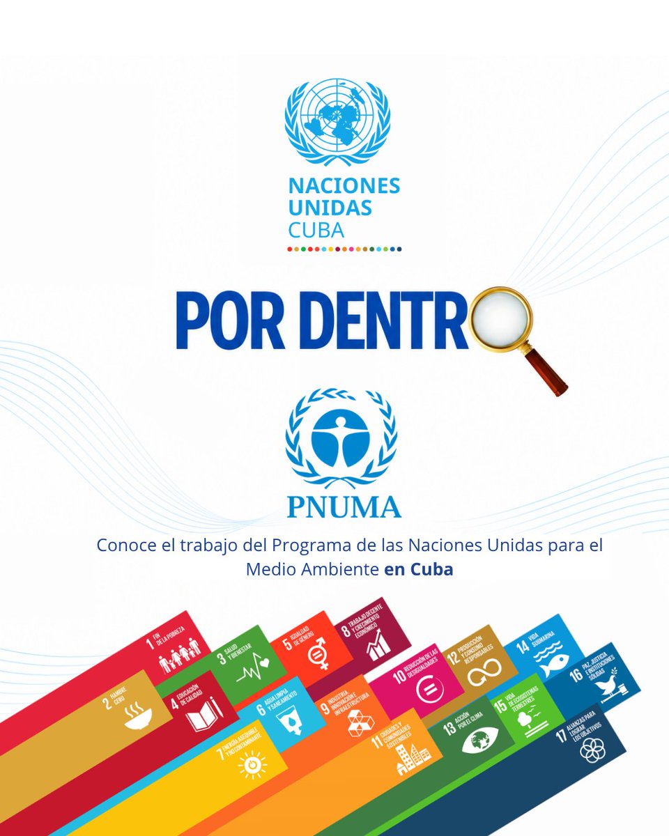 ONU_Cuba's tweet photo. 👉Actuar por el clima es inaplazable.

#PNUMA, como parte de @ONU_Cuba, trabaja para enfrentar los desafíos ambientales más urgentes en el país. 

🟢 Monitoreo y restauración de ecosistemas, resiliencia climática, economía circular y finanzas innovadoras. https://t.co/YumcY5G079