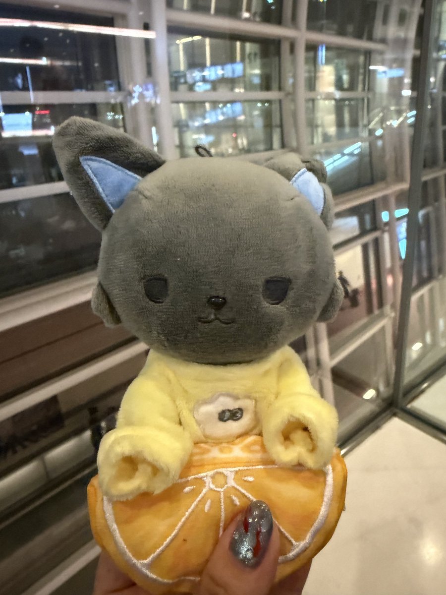 midori44513's tweet photo. 飛行機たのしみだね、ピーハイ❣️ https://t.co/VR5FuxTWxZ