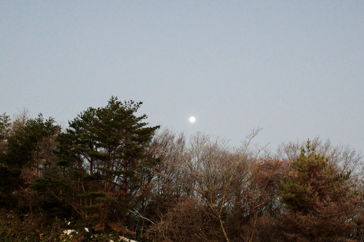 ameiro_o's tweet photo. 冬の朝 https://t.co/L8zME6onbf