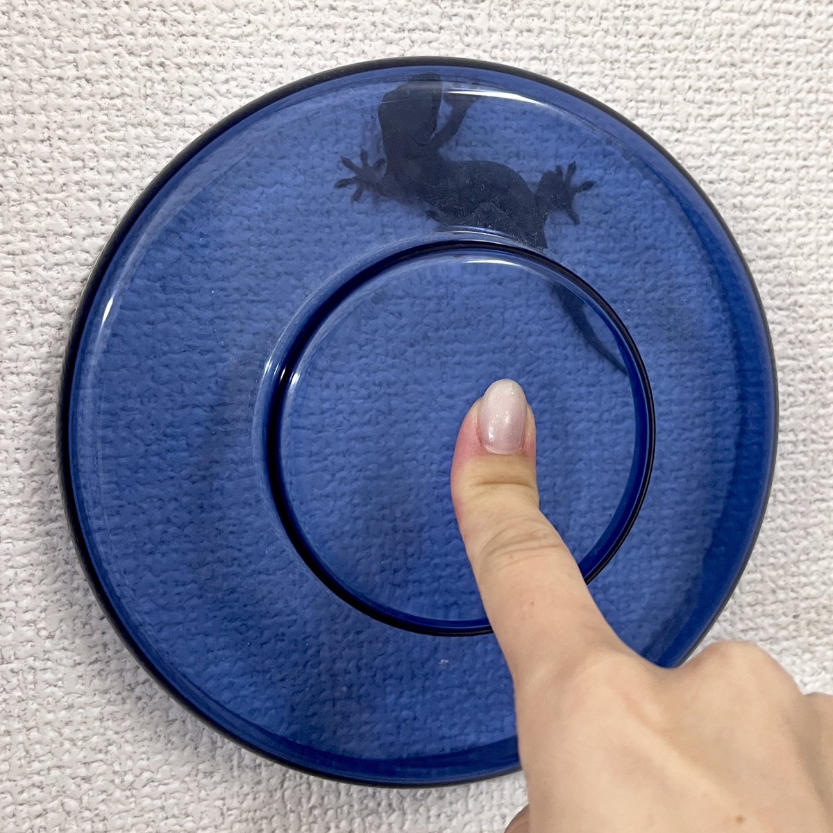 piro5o7o's tweet photo. 昨日の子は怪我させないように慎重にヨーグルトメーカーの蓋で確保して、ちょっと観察した後にお外に帰ってもらった
目クリクリで可愛かった
蓋が透明だったら良かったのに。。 https://t.co/ZZ3dfP4QTR