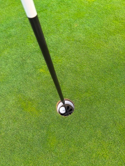 MoortownGC's tweet photo. Congratulations to Alysia Rigg who has enjoyed her first hole-in-one. Alysia, who plays off 7.5, has been a member of Moortown for six years and she produced her bit of magic at the 136-yard 4th during a social '9 and wine' with the ladies' section.

"I hit an 8-iron, a baby draw, which landed 15 feet short of the pin and rolled in. We all saw it go in and couldn’t believe it, I have had a few very close calls so I was in a bit of disbelief. For the rest of the round I was still in shock more than anything and we then sat outside after the comp and had a glass of wine to celebrate."

Well played!