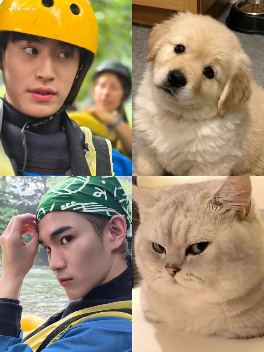 justonlyme1919's tweet photo. 🐶 : เป็นอาไยพิ่ทำอะไยผิดมั้ยน้อ?

🐱 : ต้อมให้บอกทุกเรื่องเลยยือไง! https://t.co/WHFF7tVcH7
