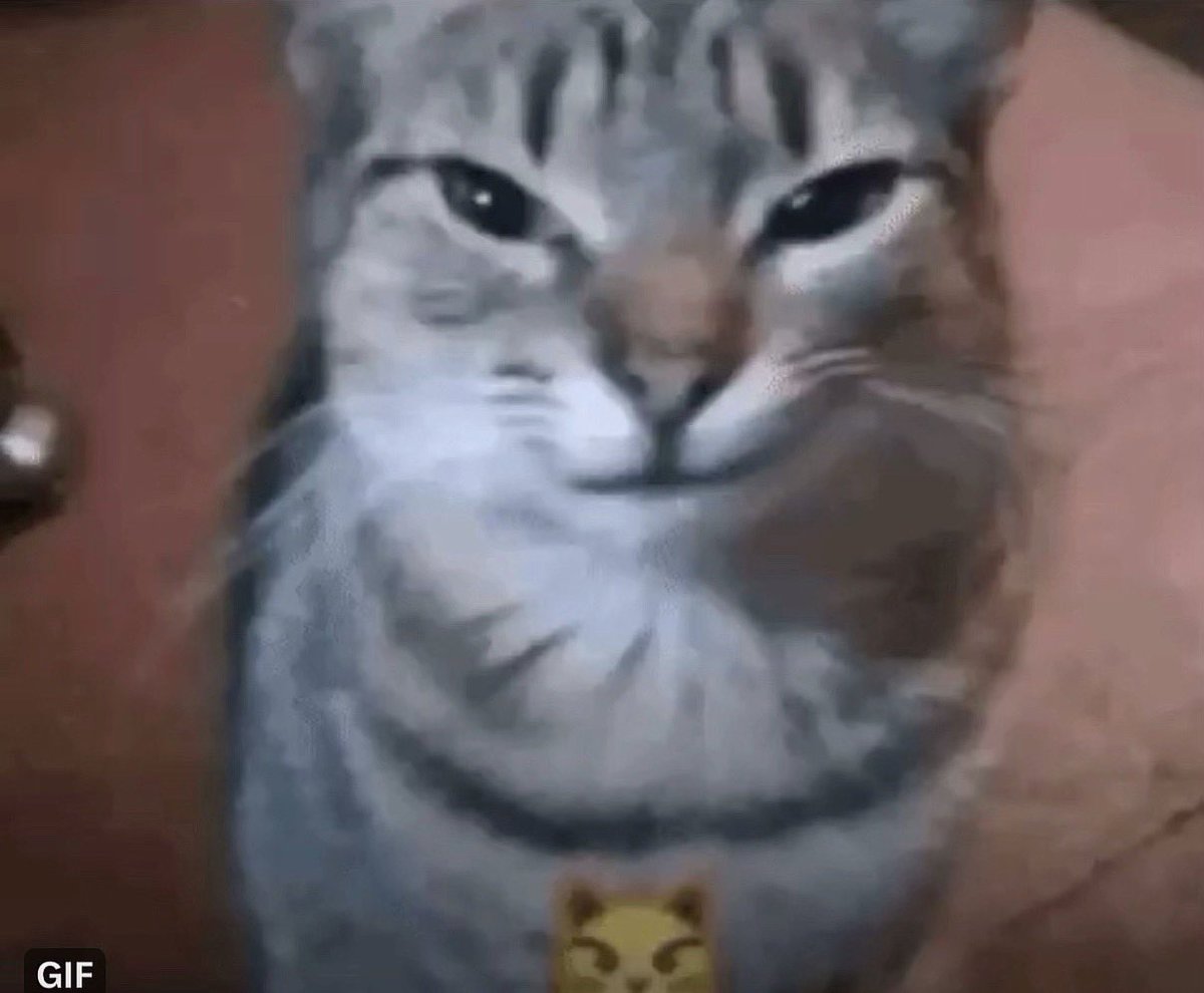 Xilser's tweet photo. The amount of content I have to edit before Thursday is actually sickening, I love it https://t.co/QoHPK79XhN
