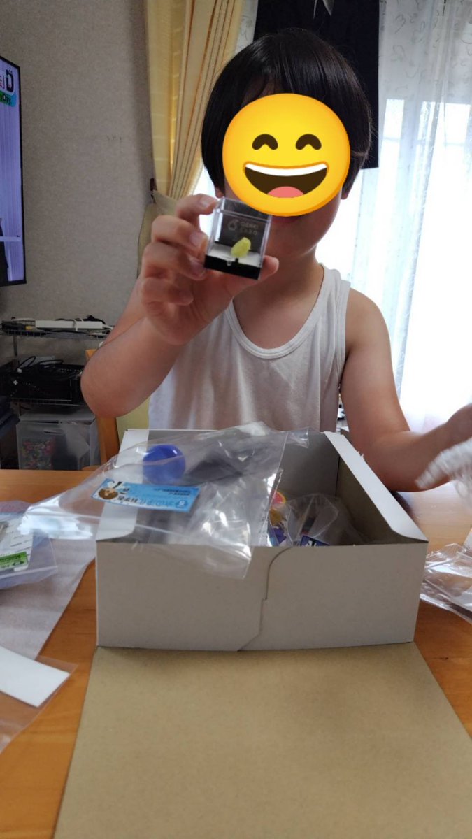 yocchi448's tweet photo. 届いた！おうちLABO
実験がいっぱい
硫黄に一番興奮してた。
#おうちLABO 
#自由研究 https://t.co/OvL57AtdrY