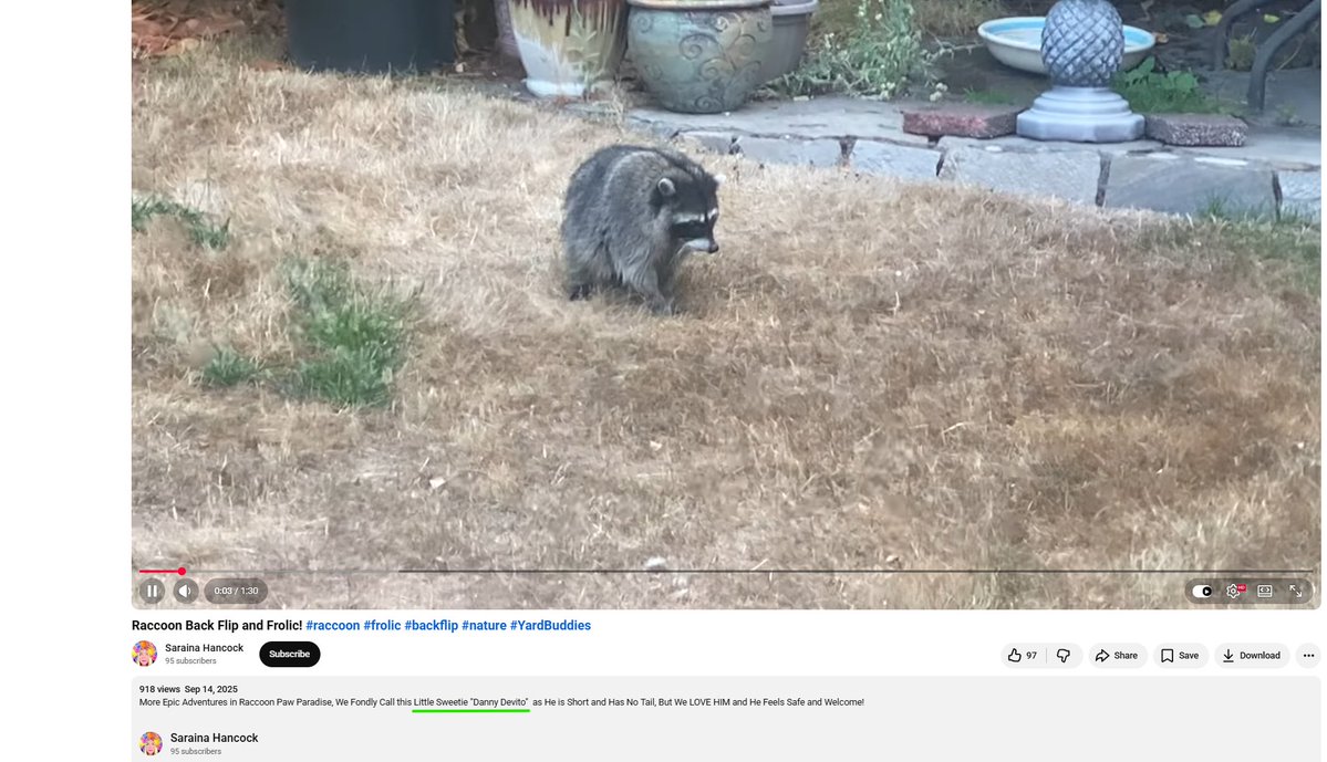 VerbivoreGuy's tweet photo. Remember. Saraina Hancock is the Aunt who took the original videos of Jimothy. This is $Danny not $Jimothy.

How many times do I need to scream this to the world! https://t.co/8cGxbm3xyG