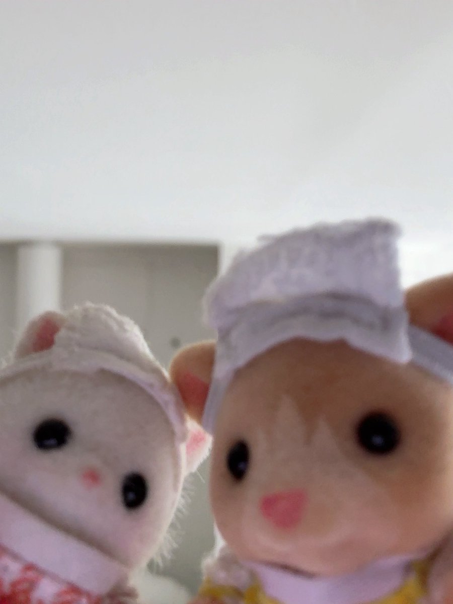Sylvanian_loves's tweet photo. 실바니안이 올리브영에도 입점했습니다🐰

반갑습니다 올리브영입니다 찾으시는 실바니안 있으면 말씀해주세요~

7월 27일 월요일부터 31일 금요일까지
최대 35% 할인🦫 https://t.co/QI4b41lODC