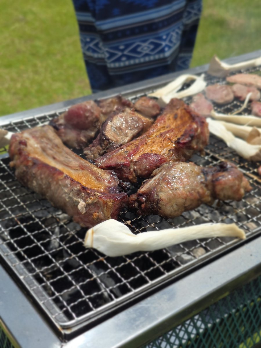 LindwurmLuna's tweet photo. 旅行楽しかった。 https://t.co/HENA0mXCfI