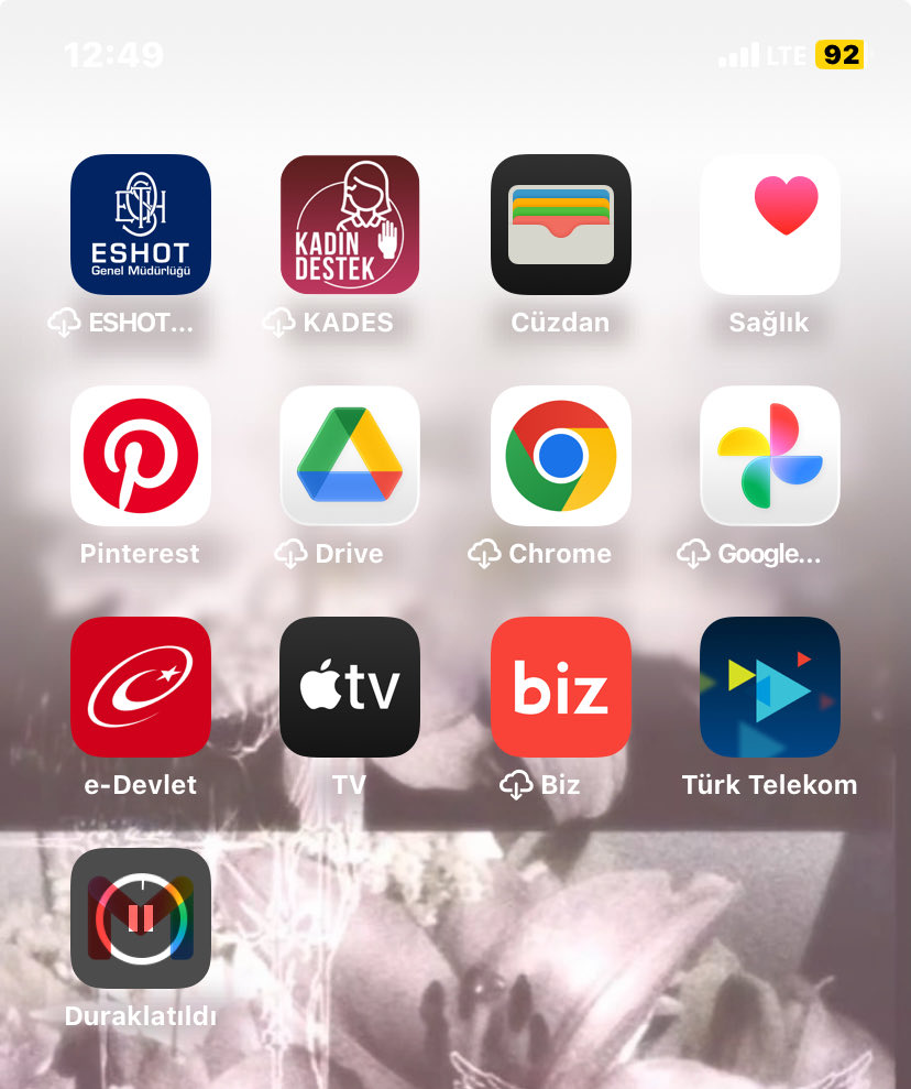 🦦 tweet media