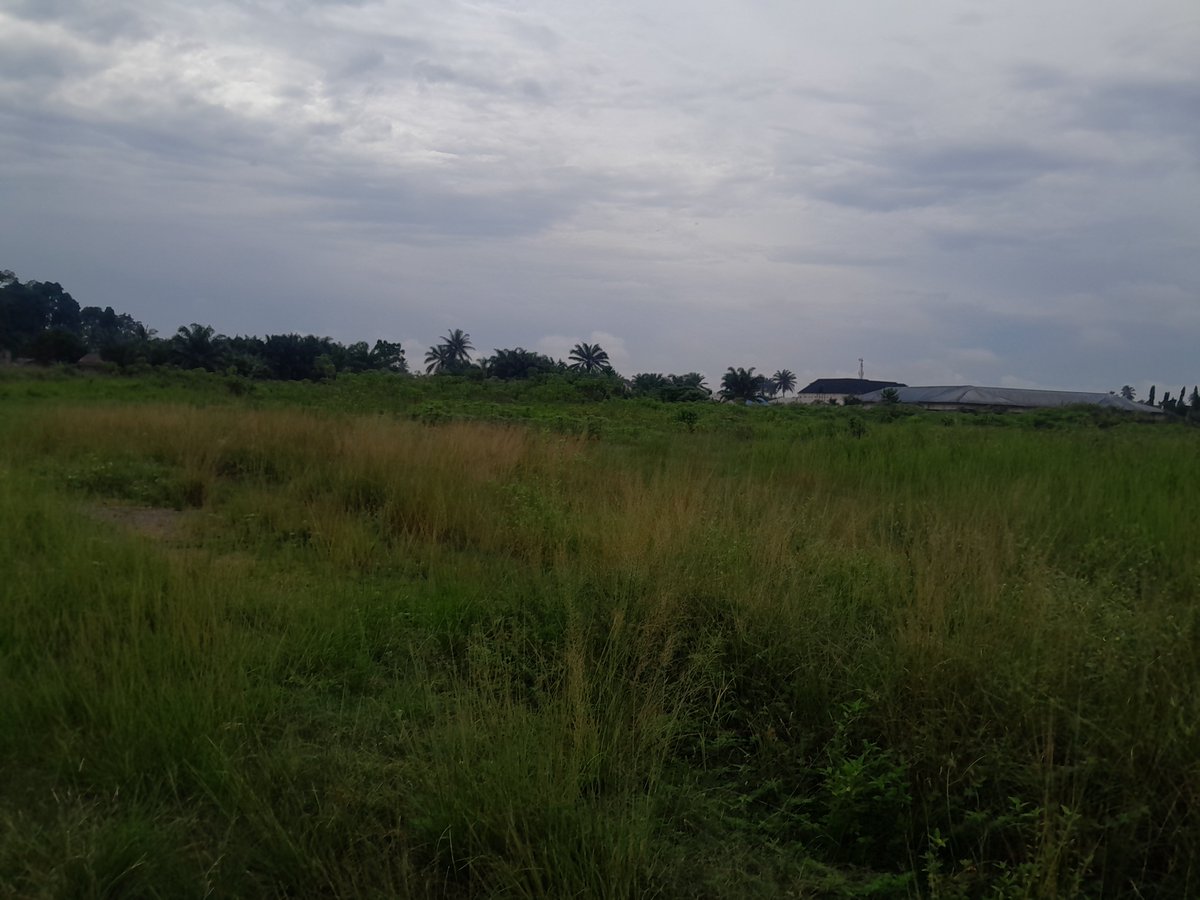 TrackaNG's tweet photo. N152m was disbursed for the Construction of Mini Stadium at Orerokpe Okpe LGA, Delta state in the Delta state Q4 Budget Implementation Report. 

We tracked and report that this project has not been done.
The stadium looked like abandoned structure, and has been this way for over 5years. 
The sitting area has been overgrown with weeds and the roofs are completely damaged.
At the time of reporting, we do not have the contractor’s details, only that over 150million has been paid.

We call on Delta State Sports Commission, the implementing agency to provide the public with details of how funds disbursed to this project was used.