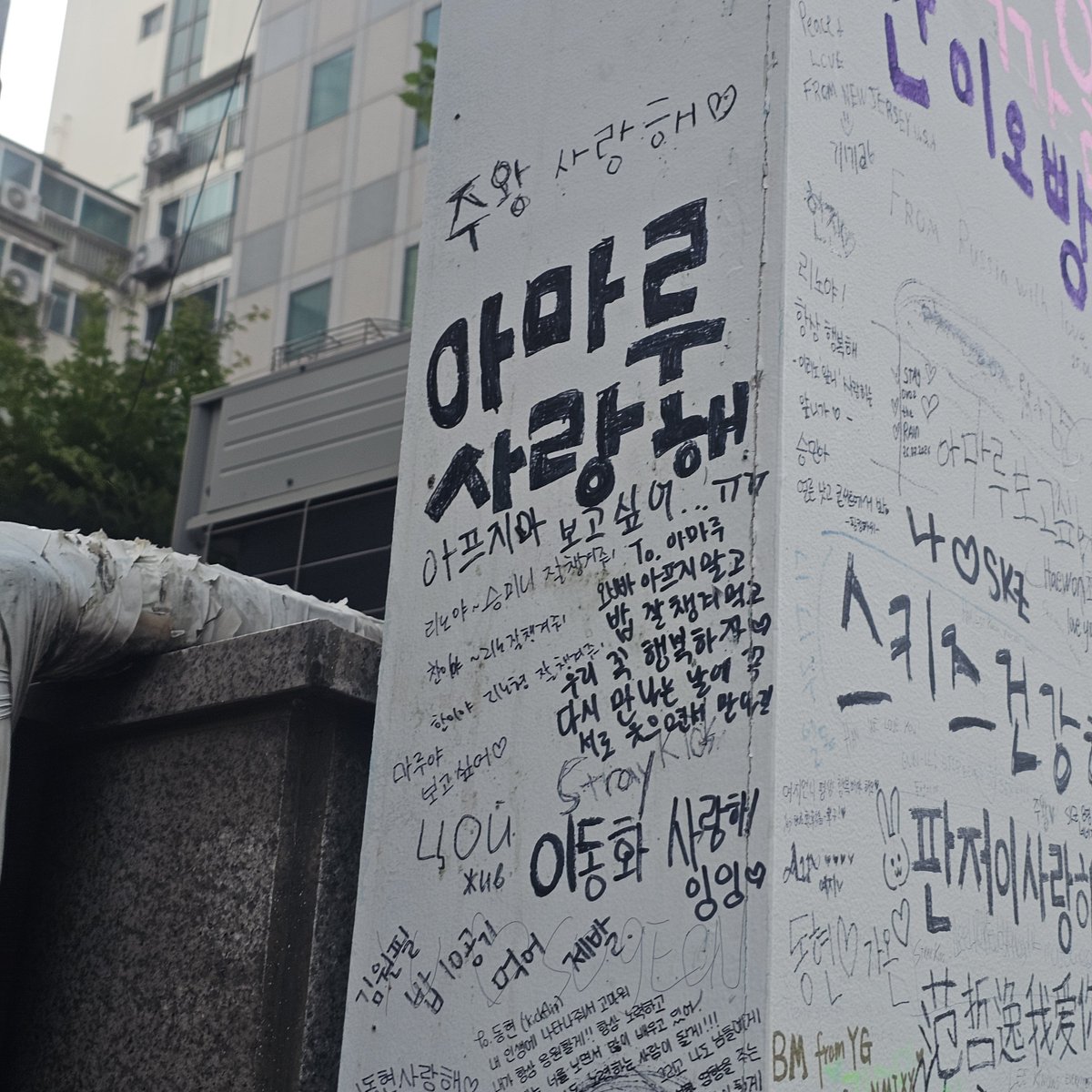 ddonghyuns2's tweet photo. 눈뭏날���같네 진짜....
다 아프지마 진짜로 https://t.co/JFaPML74nS