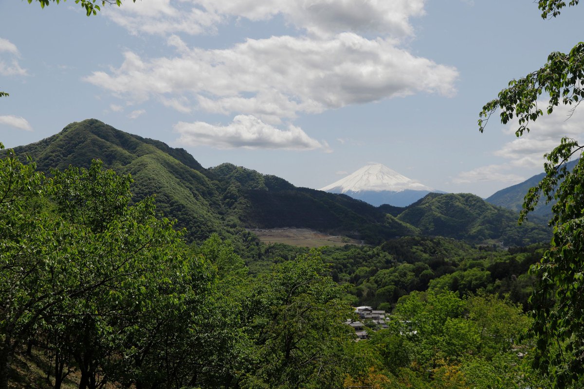 OtsukiCosplay's tweet photo. 【夏のお伊勢山🌳】
春は桜の名所として名高いお伊勢山ですが、
夏は桜の葉が生い茂り街を見下ろす森になります🌳
さらに、山には神社が5箇所あり、そのすべてでコスプレ撮影が可能です⛩️
撮影以外でもその神社すべてを廻る、五福参りという楽しみ方もできます👍
天気が良ければ富士山も見えますよ🗻 https://t.co/eI3h2SFKSh