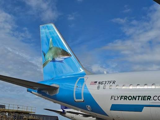 LIMacArthur's tweet photo. What week is it? These photos of @FlyFrontierA offer clues! 🦈 ✈️ Hope we get to welcome you soon on a Frontier flight to Tampa, Myrtle Beach, or Orlando. Look for roundtrip fares less than $300 per person. https://t.co/Gg7KGVFwbh #clarkandcoralthecaribbeanreefsharks #rocketthescallopedhammerheadshark #finnthebonnet  #sharkweek2026 📸: Photo 2 - Miguel
