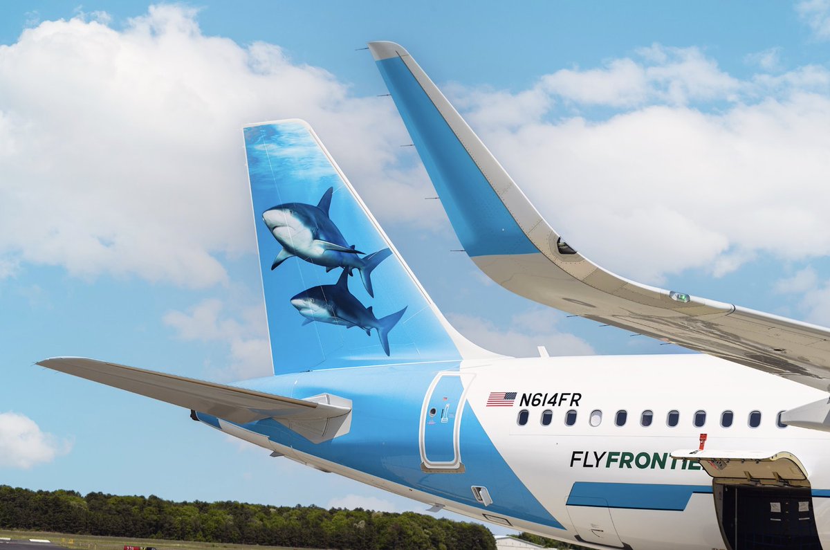 LIMacArthur's tweet photo. What week is it? These photos of @FlyFrontierA offer clues! 🦈 ✈️ Hope we get to welcome you soon on a Frontier flight to Tampa, Myrtle Beach, or Orlando. Look for roundtrip fares less than $300 per person. https://t.co/Gg7KGVFwbh #clarkandcoralthecaribbeanreefsharks #rocketthescallopedhammerheadshark #finnthebonnet  #sharkweek2026 📸: Photo 2 - Miguel