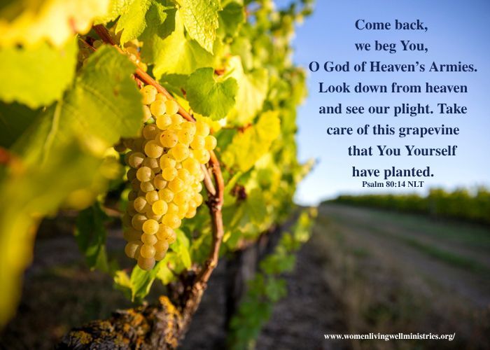 WLWministries's tweet photo. Monday, July 27, 2026 Devotional, Come back…#Discipleship, #Leadership, #InspiringWomen, #GodsWord, #ChristianLife, #LivingWithPurpose, #LiveWell, #LeadWell, #WomenInMinistry, #WomenOnAMission https://t.co/szHZtnk1kh