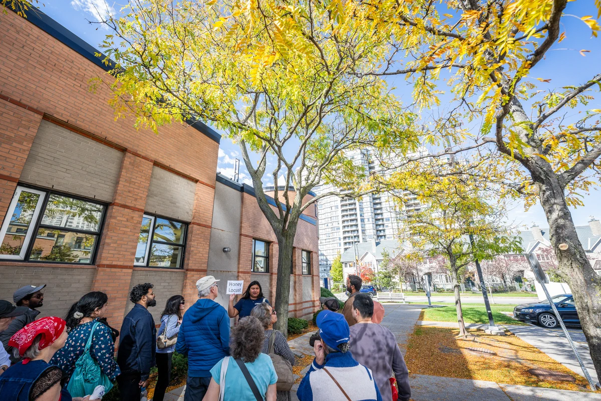 Group of people gathered outside a brick building under a tree with yellow autumn leaves on a sunny day.