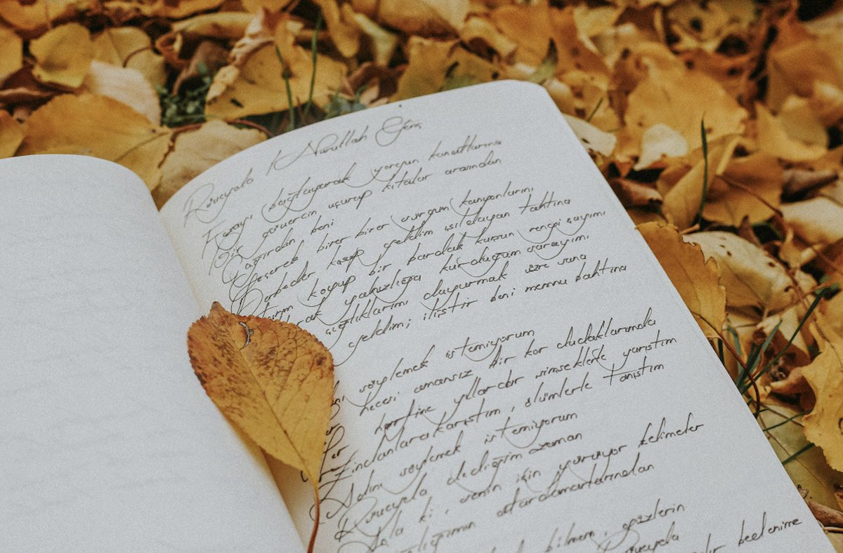 DublinWriter's tweet photo. Pacing isn't about speed. It's about giving the reader exactly the right amount of story at exactly the right moment.
https://t.co/sH7MZh8LEg – visit my writing craft blog and leave a message
#MondayMotivation #writingcommunity #writersoftwitter #AmWriting #StoryCraft #Pacing https://t.co/LGl155hAbB