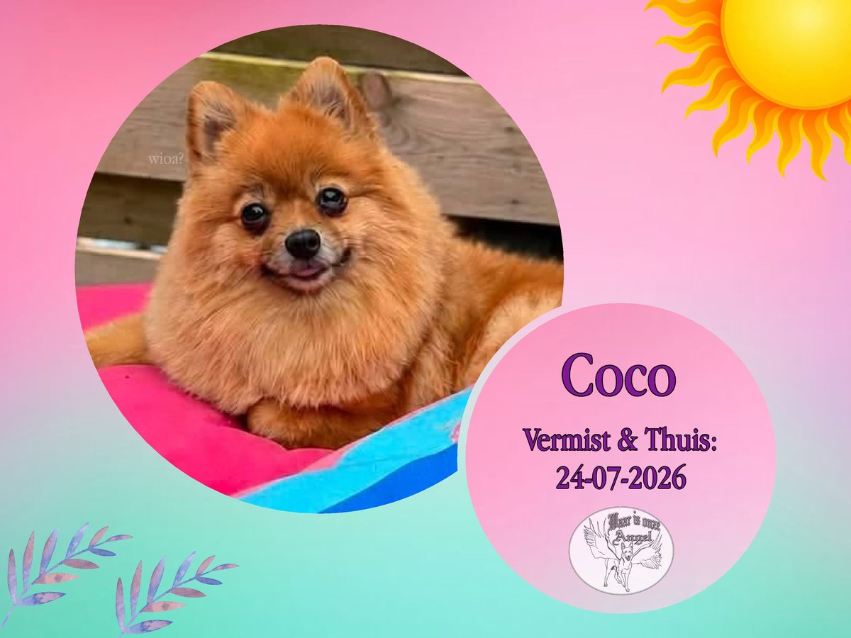 waarisonzeangel's tweet photo. Coco uit #Velp #Gelderland is weer #Home
https://t.co/6RhrTB0JKH
Donaties welkom via:
https://t.co/H9cHsSGiSD https://t.co/O8yCr19s20