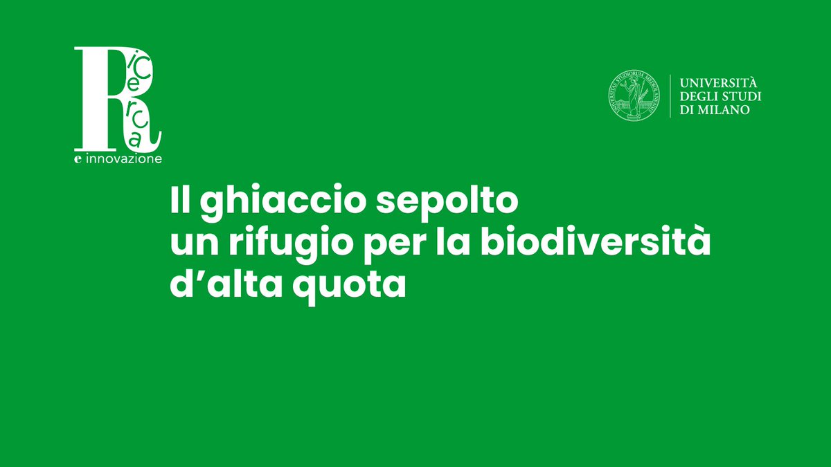 LaStatale's tweet photo. Uno studio dell’Università Statale di Milano e del MUSE - Museo delle Scienze di Trento mostra che i ghiacciai di pietra e i ghiacciai neri possono offrire rifugio ad alcune specie alpine minacciate dal riscaldamento globale.
#lastatalericerca
https://t.co/3igbYYa6Kw https://t.co/ZVUetmX2xq