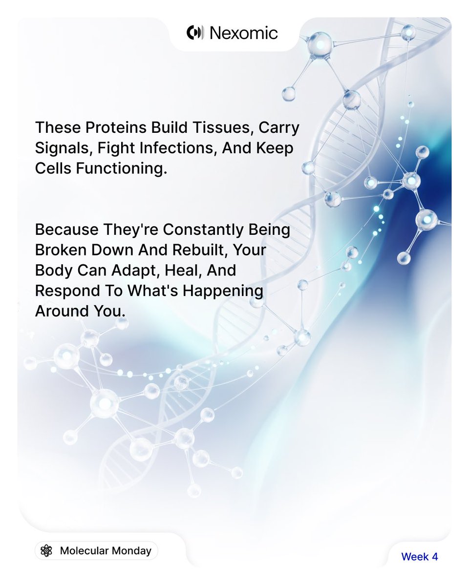 Nexomic_'s tweet photo. Did you know?

Your body makes millions of proteins every second.

These molecules build, repair, communicate, and protect—keeping your body functioning every moment of the day.

Discover why proteins are essential. ↓

#MolecularMonday #Proteomics #PrecisionMedicine https://t.co/fzV7zAmKsd