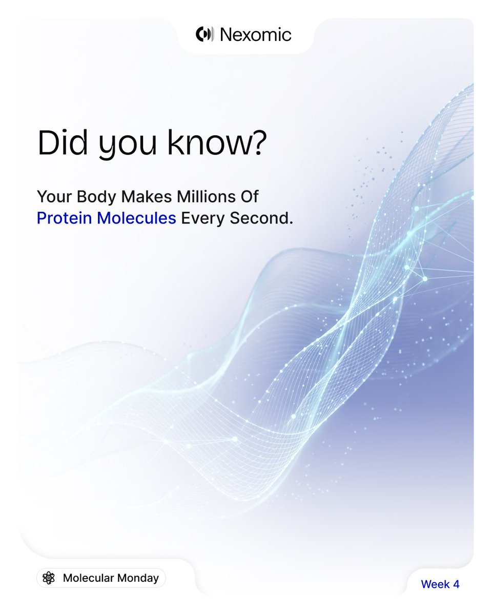 Nexomic_'s tweet photo. Did you know?

Your body makes millions of proteins every second.

These molecules build, repair, communicate, and protect—keeping your body functioning every moment of the day.

Discover why proteins are essential. ↓

#MolecularMonday #Proteomics #PrecisionMedicine https://t.co/fzV7zAmKsd