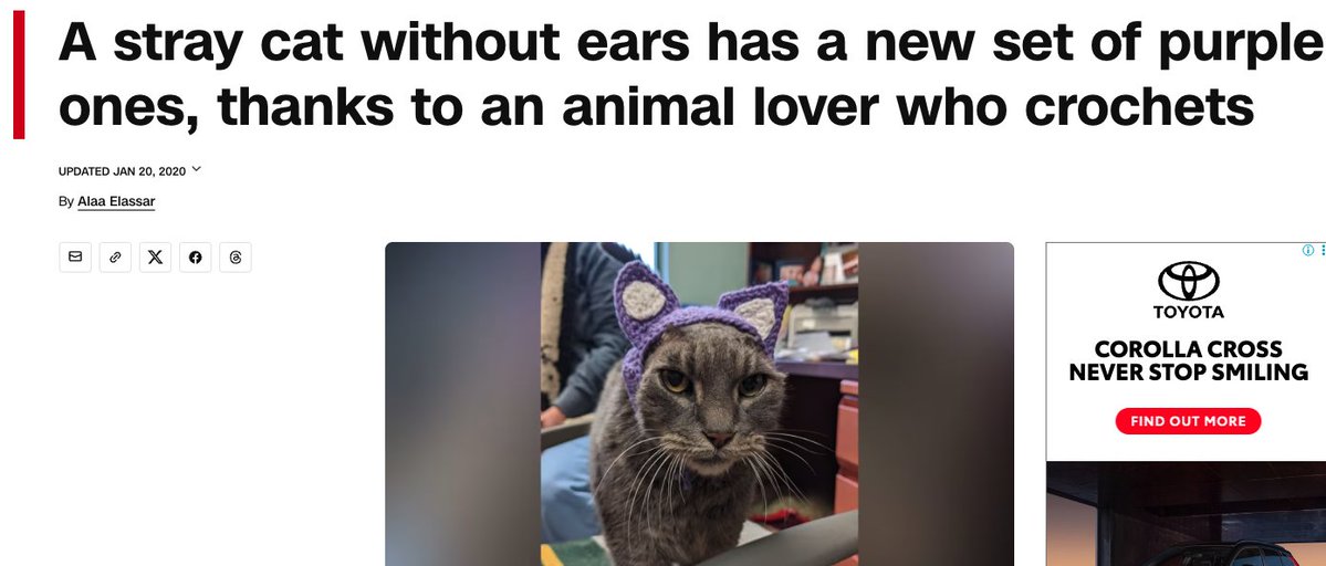 PEPE DEV ( REAL) tweet media