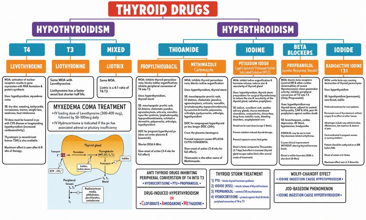 ManualOMedicine's tweet photo. Thyroid Drugs - Summary

#medtwitter #foamed #meded https://t.co/jas70WNMhN