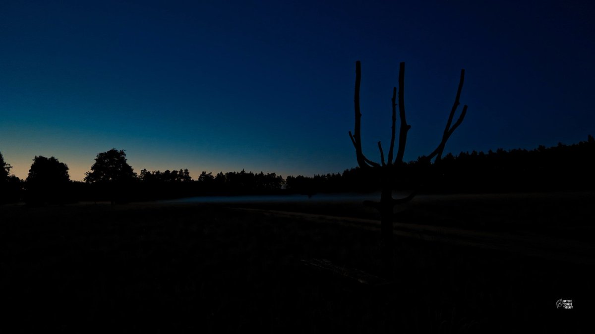 beerfest30's tweet photo. Cricket sounds for sleep — and this one's the real thing: four days and four nights, recorded nonstop. No loops, no edits. Just a quiet field at dusk and the crickets going all night, every night.

Put it on, screen off… https://t.co/DHqDBUEg7c