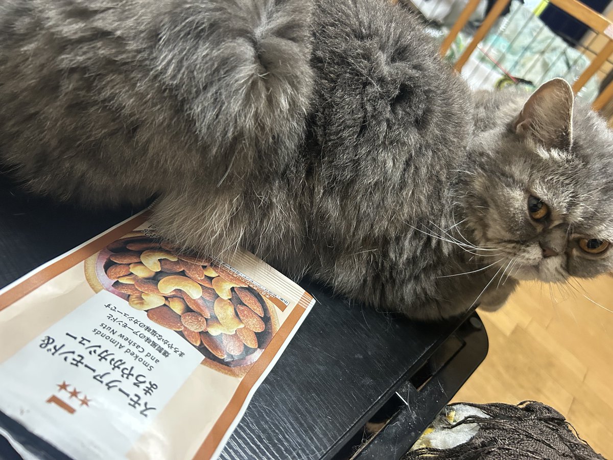 GojappePappy's tweet photo. これうめえわね https://t.co/cBatMV6hc9