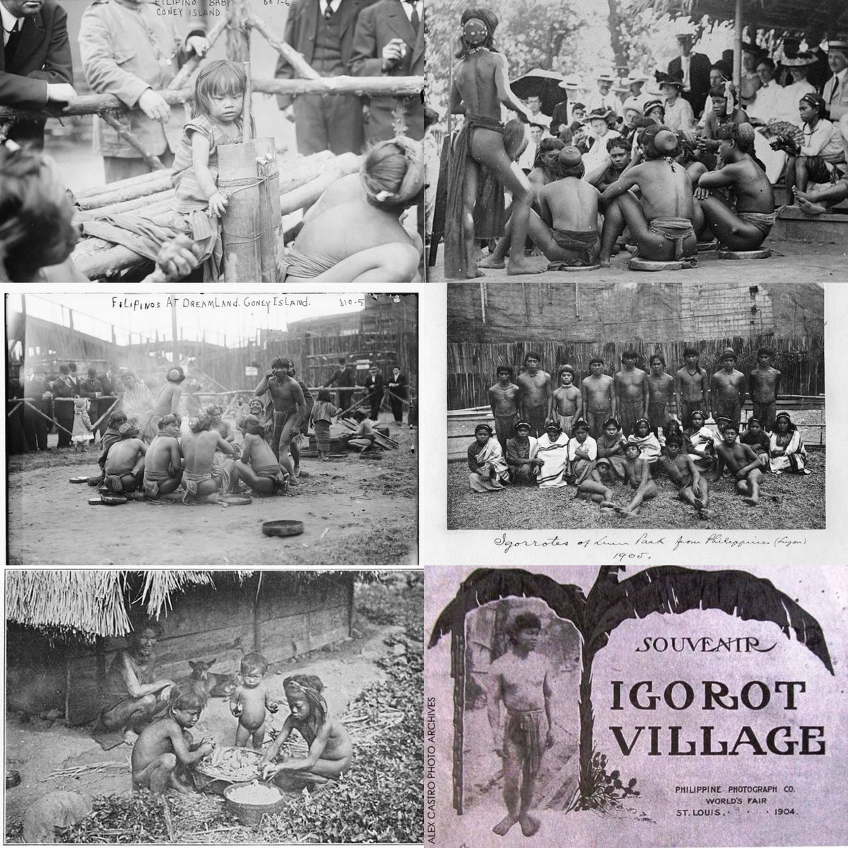 muslimwife1992's tweet photo. Question that ALL 🇵🇭Flips need to ask is:

Did the US gov treat zoo 🇵🇭human well &amp; grant these zoo 🇵🇭human US citizenship?

Or were they sent back to 🇵🇭jungles

Or were they k*lled
What wd their fate eventually be?

At least they put KingKong in Holywood movies https://t.co/mdjA01gOND