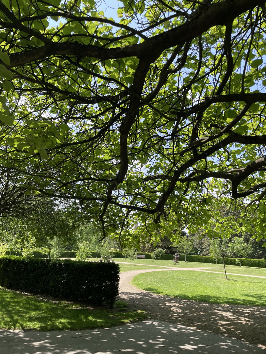 thenamesnadia_'s tweet photo. If you’re not very physically active, it’s highly recommended that you make walking part of your daily routine. 

Aim for at least 5k steps a day or even better, 10k steps. https://t.co/Ufa2tyQTdi