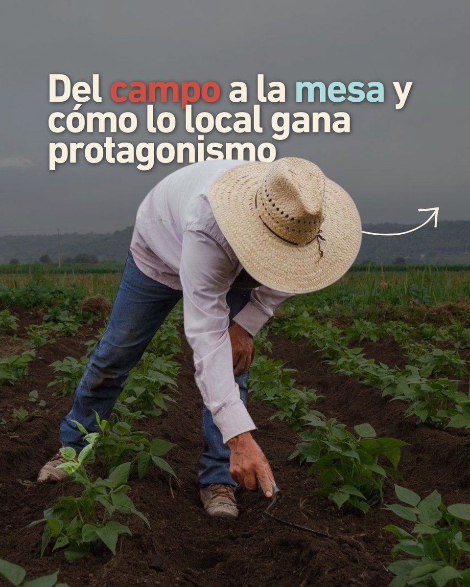 SalonHyT's tweet photo. 🌱 Cada vez más restaurantes miran hacia el origen 👨🏻‍🌾

El producto local se ha convertido en uno de los grandes protagonistas de la gastronomía actual, conectando a productores y profesionales de la hostelería para crear propuestas con más identidad, calidad y sostenibilidad. https://t.co/aJhtsLiYTO
