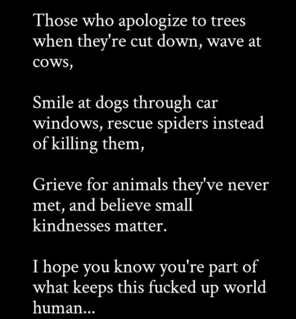 RGWritesFantasy's tweet photo. There are not nearly enough people this applies to.  

If you are one of them - celebrate your humanity

And when it all gets too much escape into another world for a while...

Remembering Valhalla - coming soon
 
A Time Of Flames - coming this year
Book One - The Misplaced
Book Two - Tears of Cirryn
Book Three - Book Raven

#LoveNature #WildlifeMatters #CareForWildlife #BeKind #LoveThePlanet #readingworld #fantasybooks #readingcommunity #WritingLife #fantasy #Fantasyreads #FantasyBooks#readerscommunity #BookBoost #GoodRead