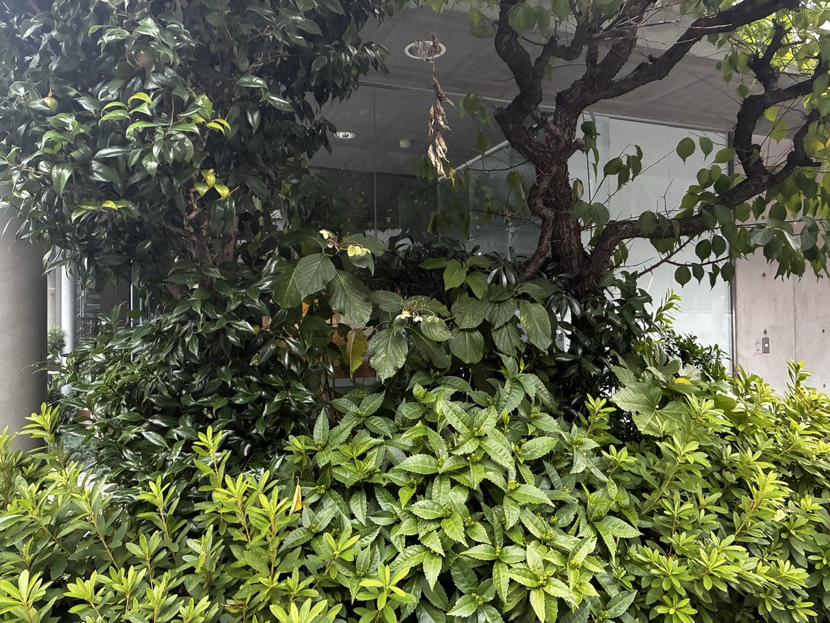 kPb67xTUez10688's tweet photo. 聖地巡礼できるもん https://t.co/H06NBTKYqq