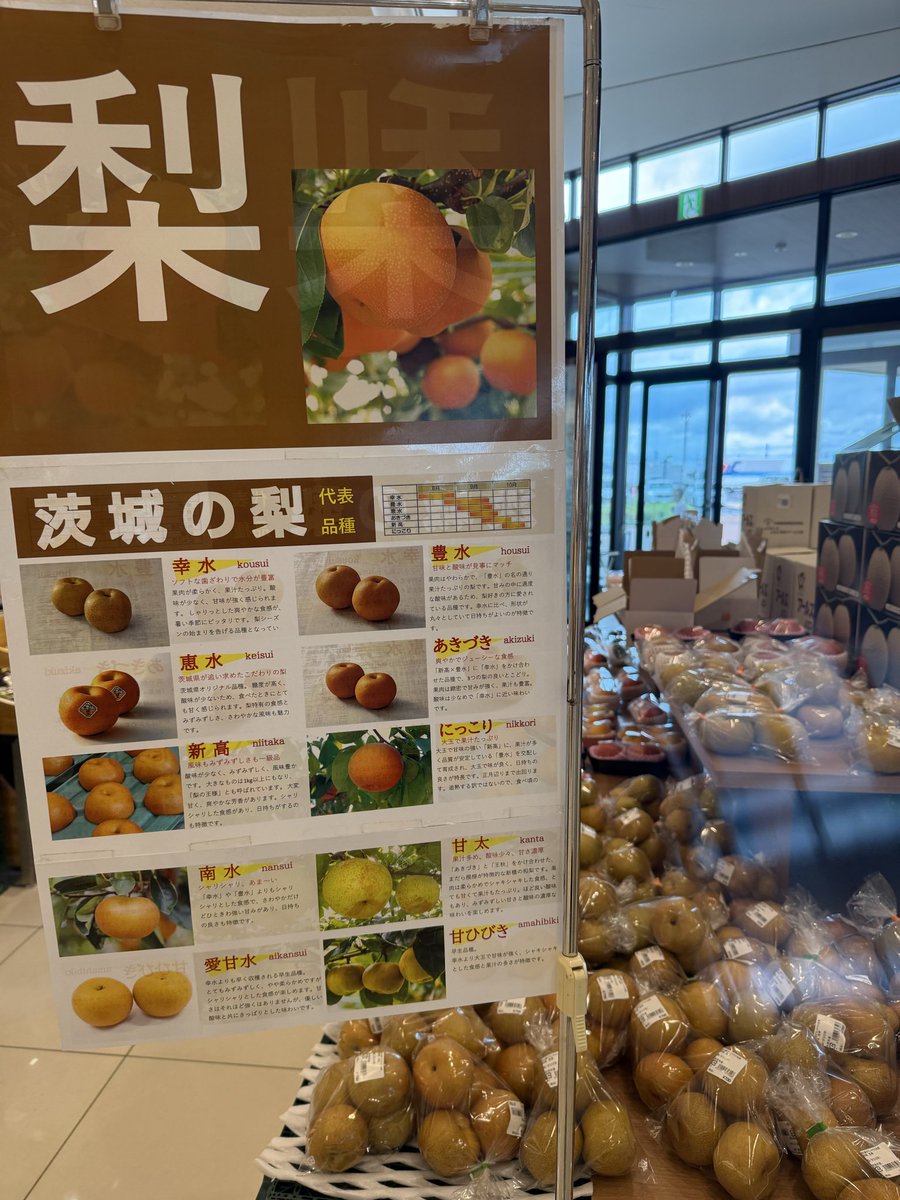 lyuon96's tweet photo. 道の駅に梨🍐が売ってた！✨ https://t.co/chGwdBfUUT