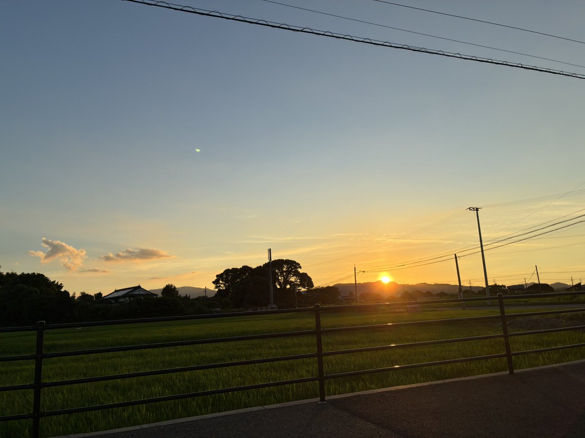 qppazm48's tweet photo. 太陽マジ偉大(まぶしい) https://t.co/NP5o483aop