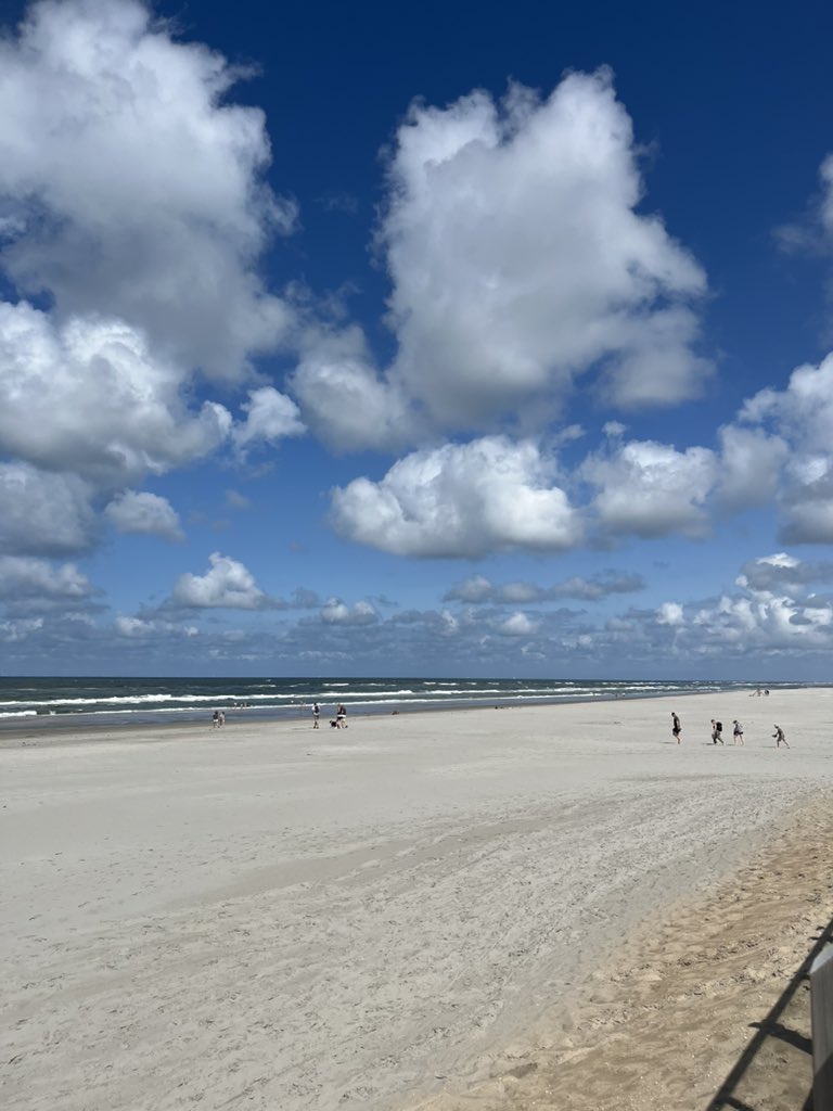 Bob van Valkenhoef tweet media