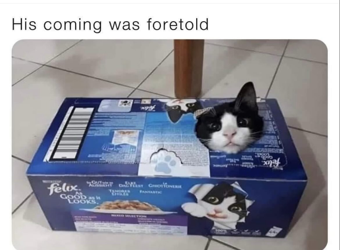 PowerfulAuraX tweet picture