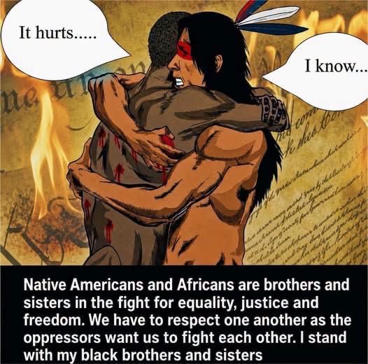 proud_native_am's tweet photo. United we stand. Divided we fall. ✊🏽🪶🖤 https://t.co/9rm5VszAXE