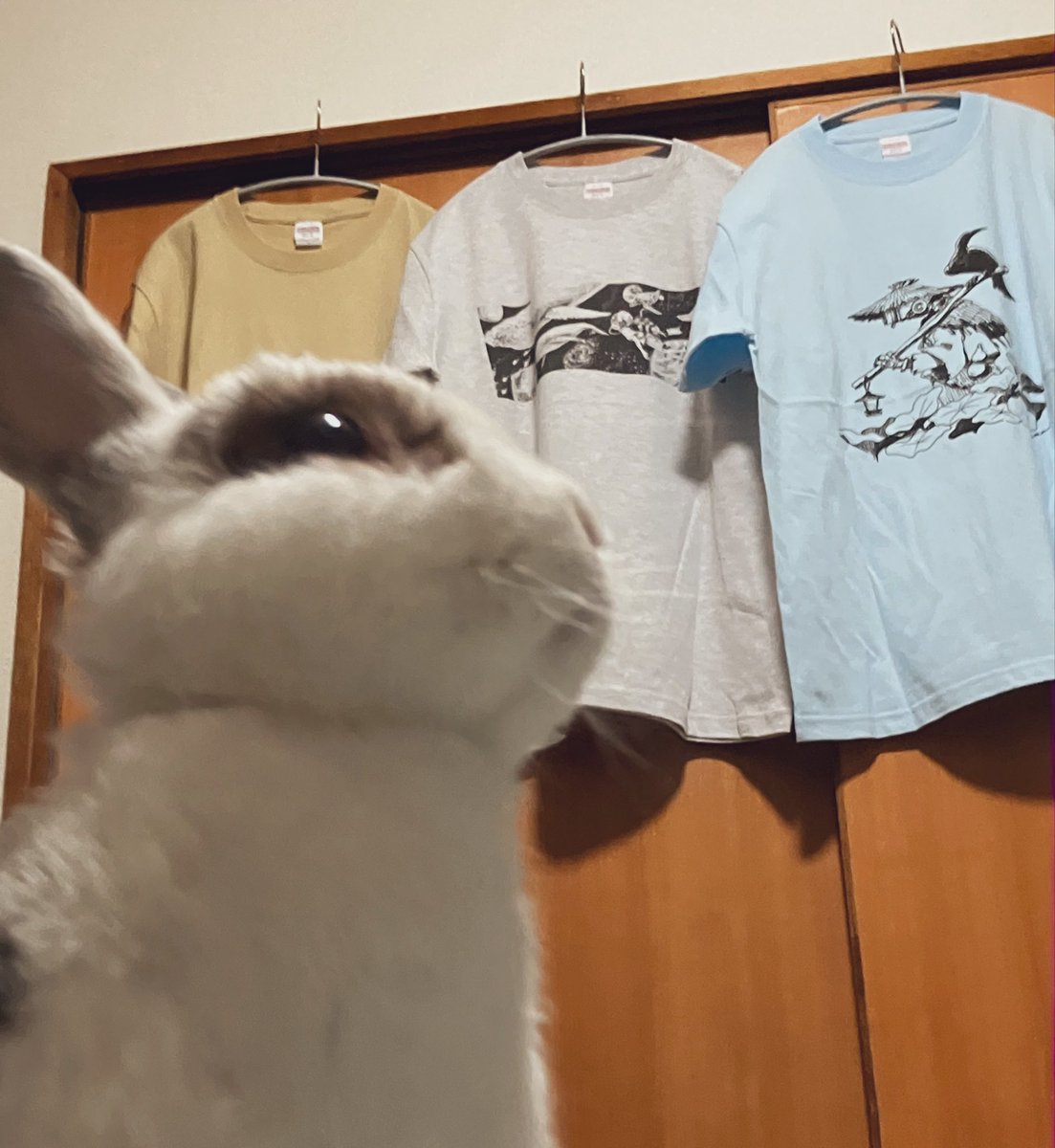 tama (@tama00001234) / Posts / X