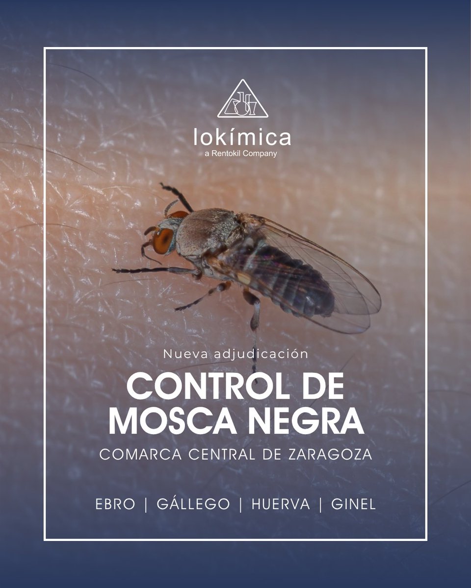 lokimica's tweet photo. Segundo año consecutivo de vigilancia y control de mosca negra en los ríos Ebro, Gállego, Huerva y Ginel.

Actuar sobre los focos larvarios permite intervenir en origen y proteger el entorno fluvial.

https://t.co/MPCZpDZS9u

#MoscaNegra #SaludAmbiental https://t.co/8RkuSP6Oss